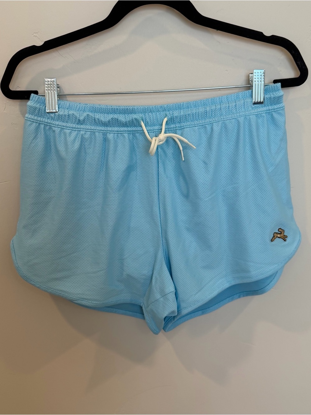 Tracksmith Van Cortlandt Shorts, Light Blue, Medium